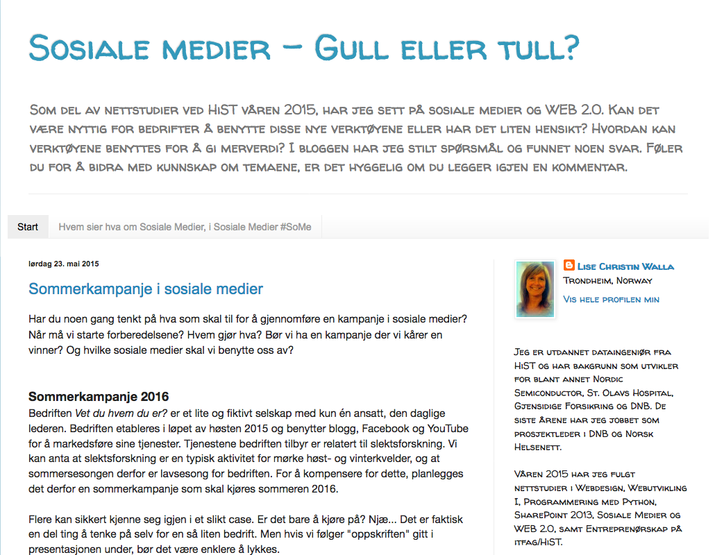 Blogg Sosiale medier - gull eller tull?